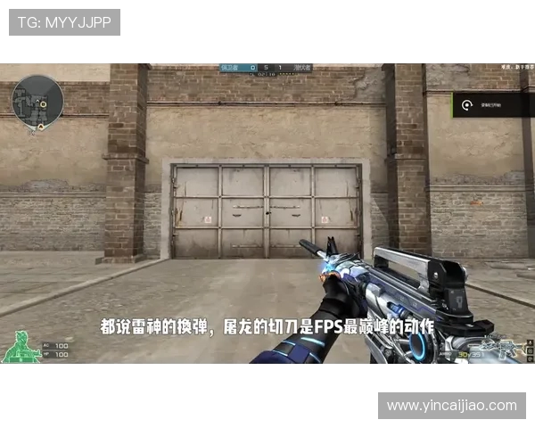 DBQ视角下的穿越火线发展历程与玩家文化影响深度解析